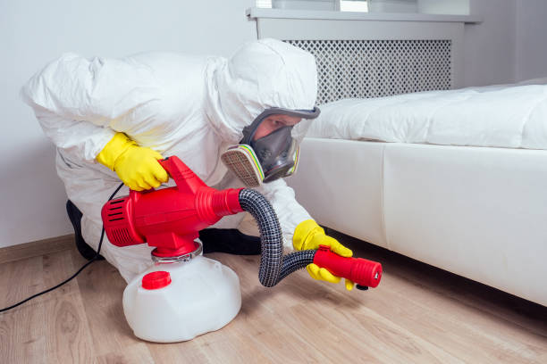 Best Termite Control Services  in New Market, AL