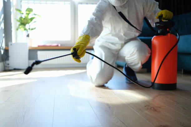Best Pest Removal Services  in New Market, AL