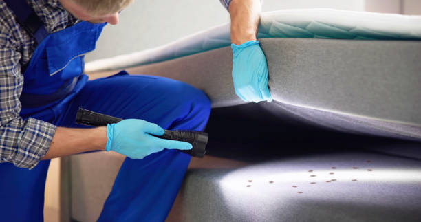 Best Local Pest Control Services  in New Market, AL