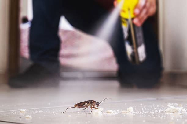 Best Pest Removal Services  in New Market, AL