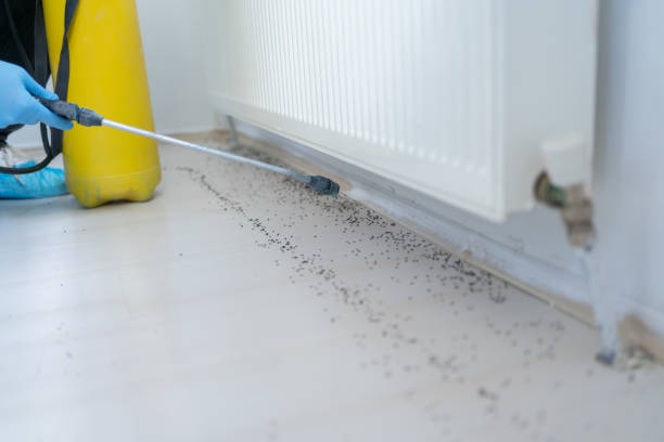 Best Commercial Pest Control Services  in New Market, AL