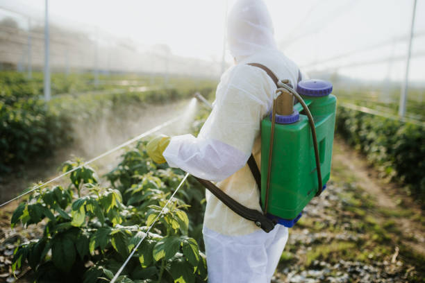 Best Commercial Pest Control Services  in New Market, AL